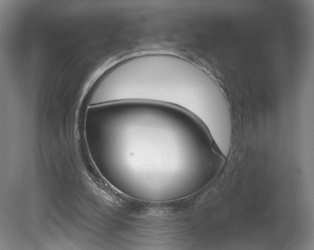 X0000081600248200701151101