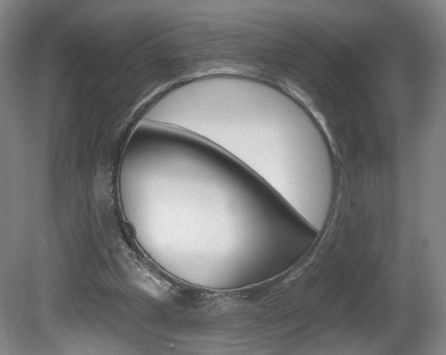 X0000081600249200701151101