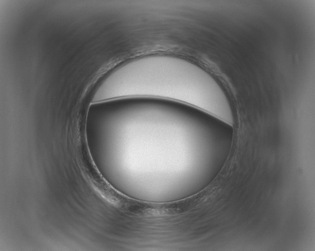 X0000081600250200701151101