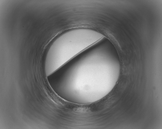 X0000081600251200701151101