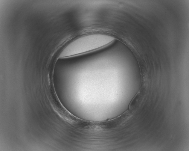 X0000081600254200701151101