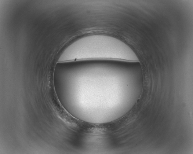 X0000081600255200701151101