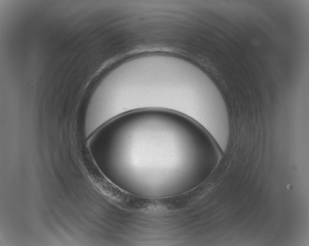 X0000081600256200701151101