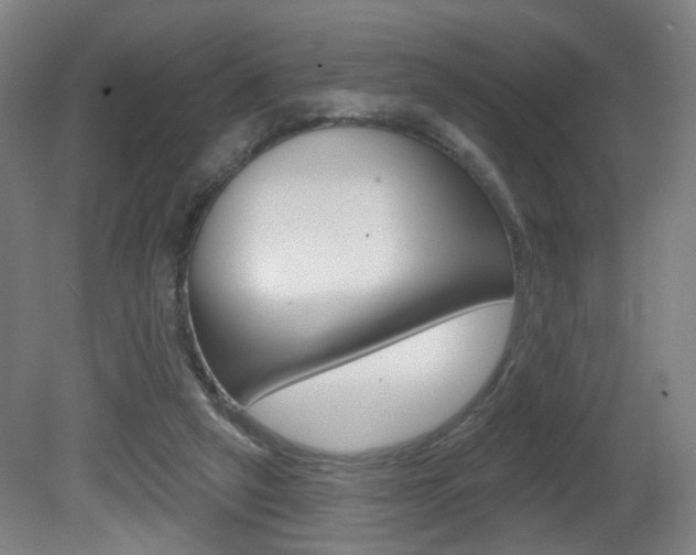 X0000081600257200701151101