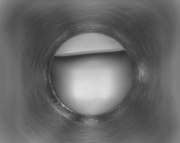 X0000081600258200701151101