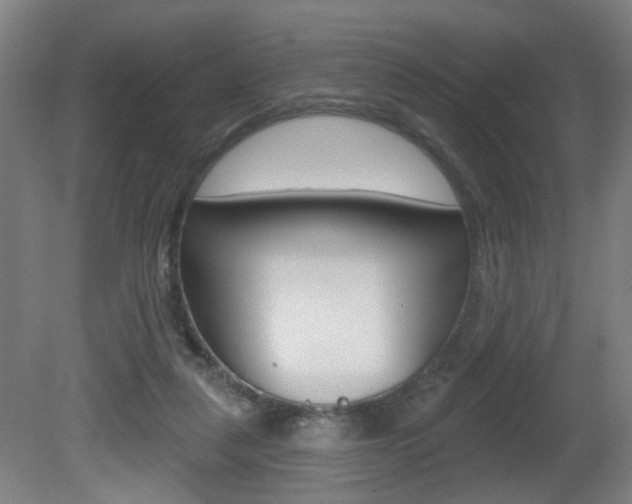 X0000081600259200701151101