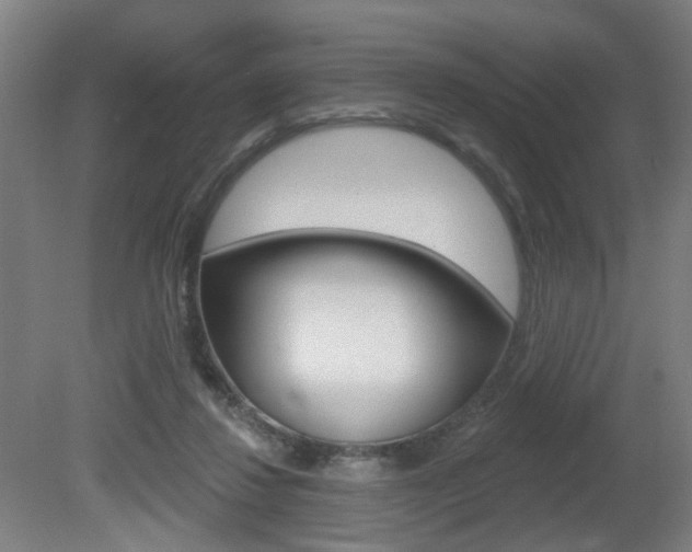 X0000081600260200701151101