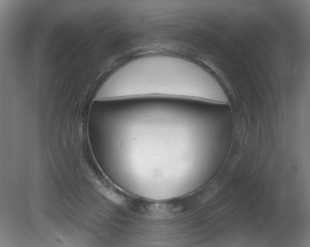 X0000081600261200701151101
