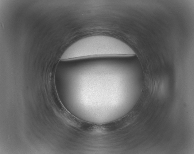 X0000081600263200701151101