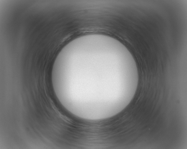 X0000081600264200701151101