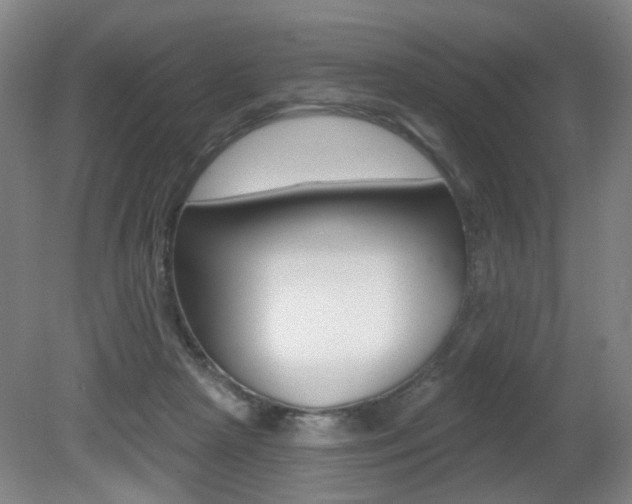 X0000081600265200701151101