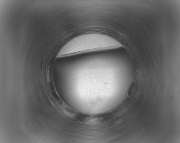 X0000081600267200701151101