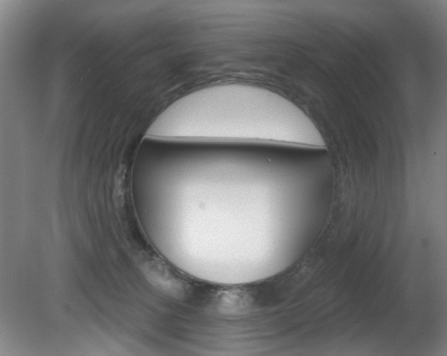 X0000081600275200701151102