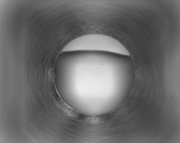 X0000081600276200701151102