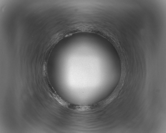 X0000081600288200701151102