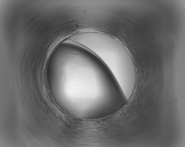 X0000081600289200701151101