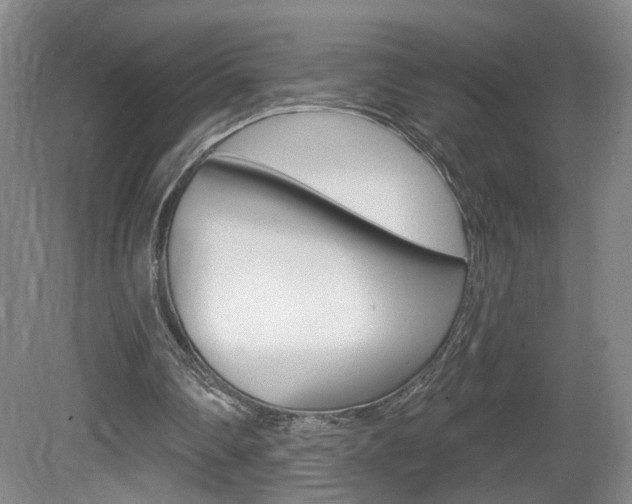 X0000081600290200701151101