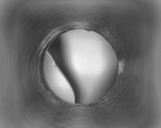 X0000081600291200701151101