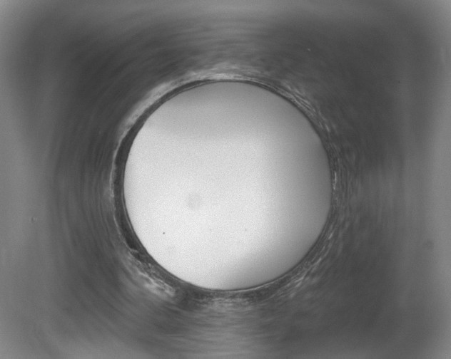 X0000081600292200701151101