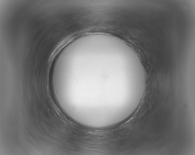 X0000081600293200701151101