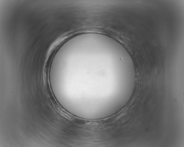 X0000081600294200701151101