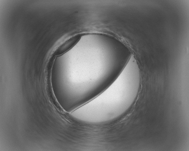 X0000081600295200701151101