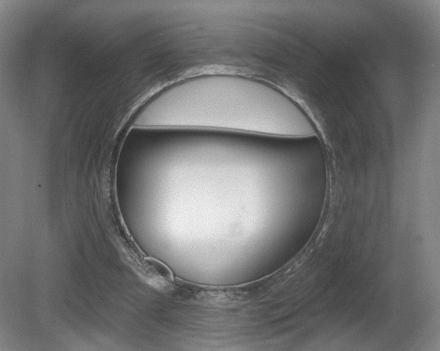 X0000081600297200701151101