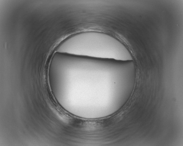 X0000081600298200701151101