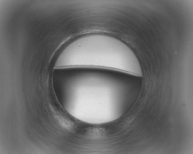 X0000081600304200701151101