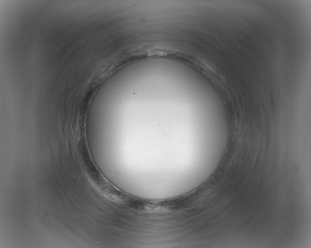 X0000081600311200701151101