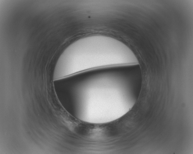 X0000081600312200701151101