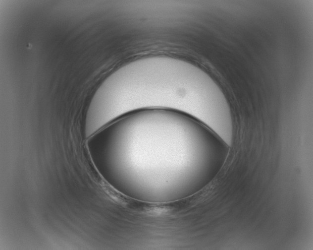 X0000081600313200701151101