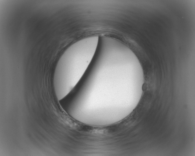 X0000081600314200701151101
