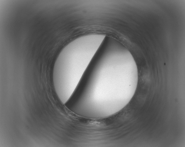 X0000081600315200701151101