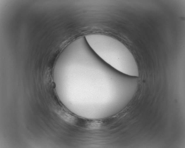 X0000081600318200701151100