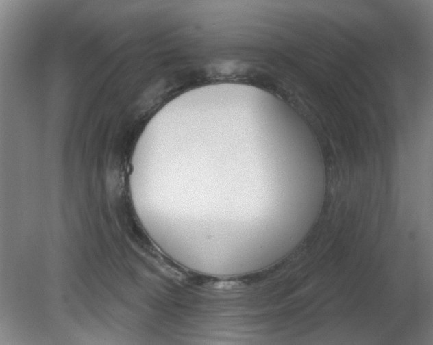 X0000081600324200701151100