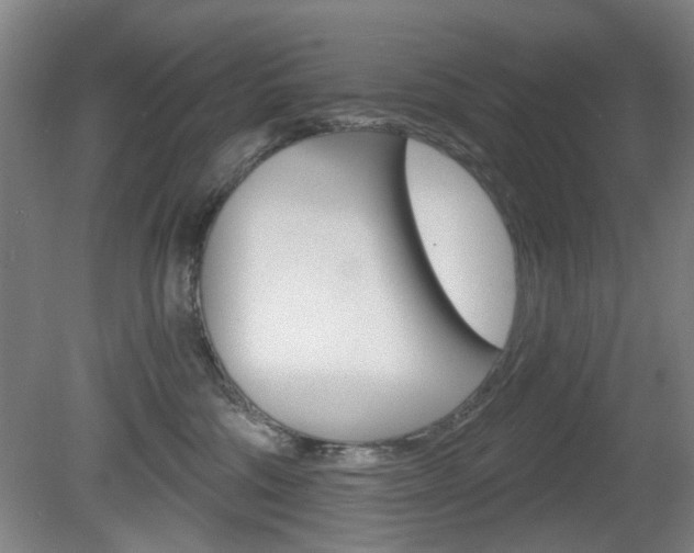 X0000081600330200701151100