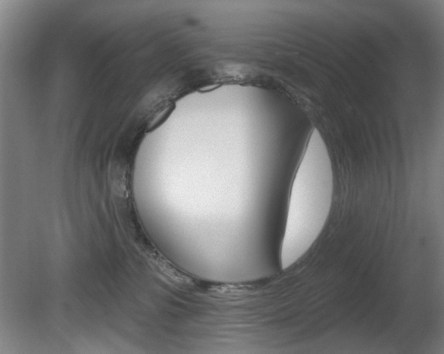 X0000081600331200701151100