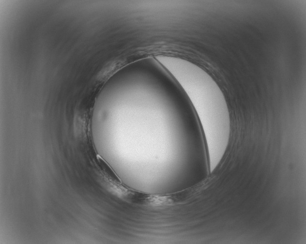 X0000081600333200701151100