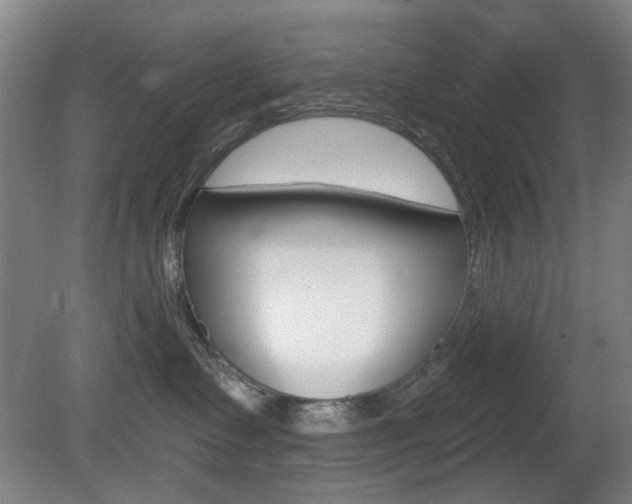 X0000081600335200701151100