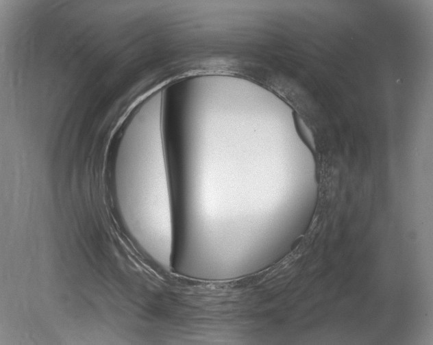 X0000081600338200701151059