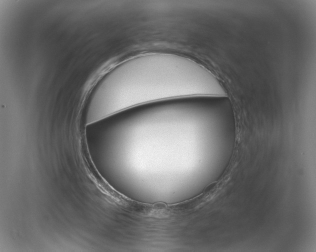 X0000081600341200701151059