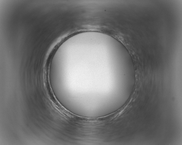 X0000081600342200701151059
