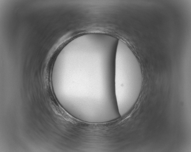 X0000081600343200701151059