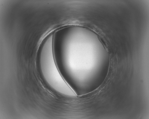 X0000081600344200701151059