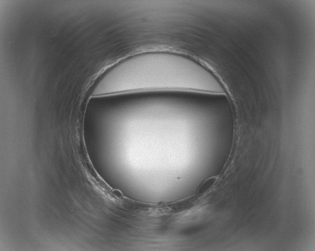 X0000081600345200701151059
