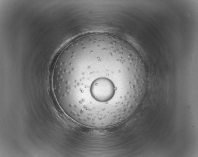 X0000081600346200701151059