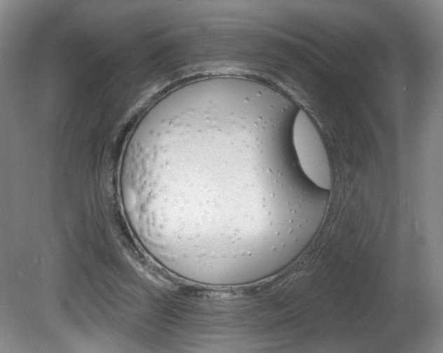 X0000081600347200701151059