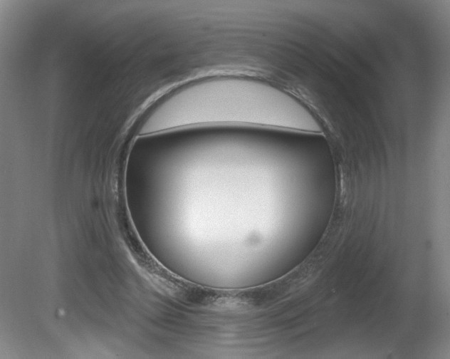 X0000081600348200701151100