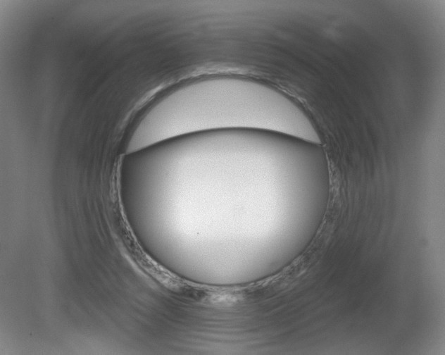 X0000081600352200701151100